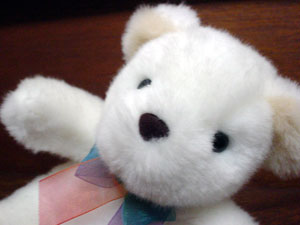 ちそ。