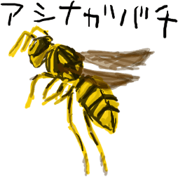 �����Ȃ��΂�